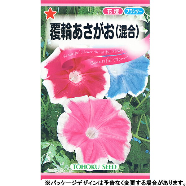 トーホク　花の種/種子　あさがお　覆輪あさがお（混合）　種　（追跡可能メール便発送　全国一律370円）00330