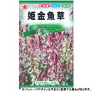 トーホク　花の種/種子　金魚草　姫金魚草　種　（追跡可能メール便発送　全国一律370円）09561