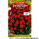 ウタネ　花の種/種子　アスター　マイクロアスター　ディープローズ　種　（追跡可能メール便発送　全国一律370円）05112