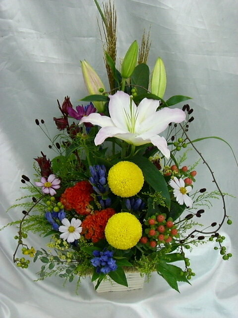 コスモスやススキ、ユリの秋の花アレ...