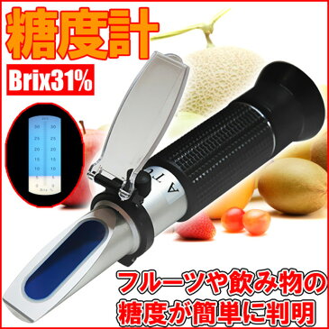 糖度計 調整用ドライバー 専用ケース付き ハンディタイプ Brix 測定範囲 0〜32度 屈折計 ポケットサイズ 電源不要 糖質制限 測定器 濃度計 健康管理 送料無料