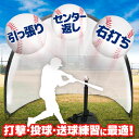 【W抽選キャンペーン★「全額無料」＆「全額ポイント還元」★4/20～21】 バッティングネット 折りたたみ 野球 練習 ネット 折り畳み式 持ち運び 打撃ネット 集球ネット バッティングゲージ 横幅 2.4m 高さ 2.1m トスバッティング トスバッティング用ネット 3