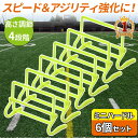 【楽天1位】 リーディングエッジ LEADING EDGE トレーニング ミニハードル 6個 ESTH-030 ＆ トレーニングラダー 6m コーン20枚付き ESTR-001 計2点セット