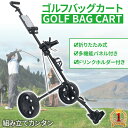 ブリーフィング（BRIEFING）（メンズ）ゴルフ TURF CART トートバッグ TL BRG231T37-068