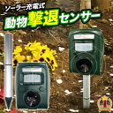 【100人に1人「全額無料」 最大2000円OFFクーポン配布中★5/5】 【 4個セット 】 動物撃退器 カラス 超音波 【 電気代0円 ソーラー充電 防滴 】 猿 イノシシ ネズミ 野良猫 鳩 ハト 農作物 被害 糞尿