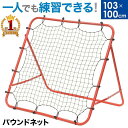 [ポイント10倍×本日20時から6時間限定] ネット 網 防球ネット 幅501～600cm 丈301～400cm [440T/36本 25mm目] 【NET15】野球 防球 ゴルフ 練習ネット ゴルフネット 野球ネット グランドネット 鳥害 防鳥 鳥よけ カラスよけネット 防犯ネット JQ