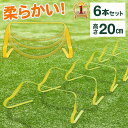 【楽天1位】 リーディングエッジ LEADING EDGE トレーニング ミニハードル 6個 ESTH-030 ＆ トレーニングラダー 6m コーン20枚付き ESTR-001 計2点セット