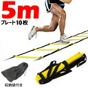  ラダー トレーニング ダイエット トレーニング 5m ダイエット プレート 10枚 トレーニング用品 練習器具 収納袋付き フィットネス フットサル スポーツ 練習 サッカー 陸上 野球 テニス バスケ