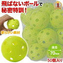 野球 バッティング 練習 ボール 穴あきボール 野球 【 50個入 】 練習用ボール 直径7cm バッティング練習用 バッティング練習 打撃練習 練習用 練習器具 穴あきボール セット 軽い 柔らかい 飛ばない 割れにくい 専用バッグ付 専用袋付き 省スペース 夜間 蛍光 送料無料