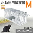【楽天1位】 猫 捕獲器 捕獲機 Mサイズ モグラ 捕獲 器