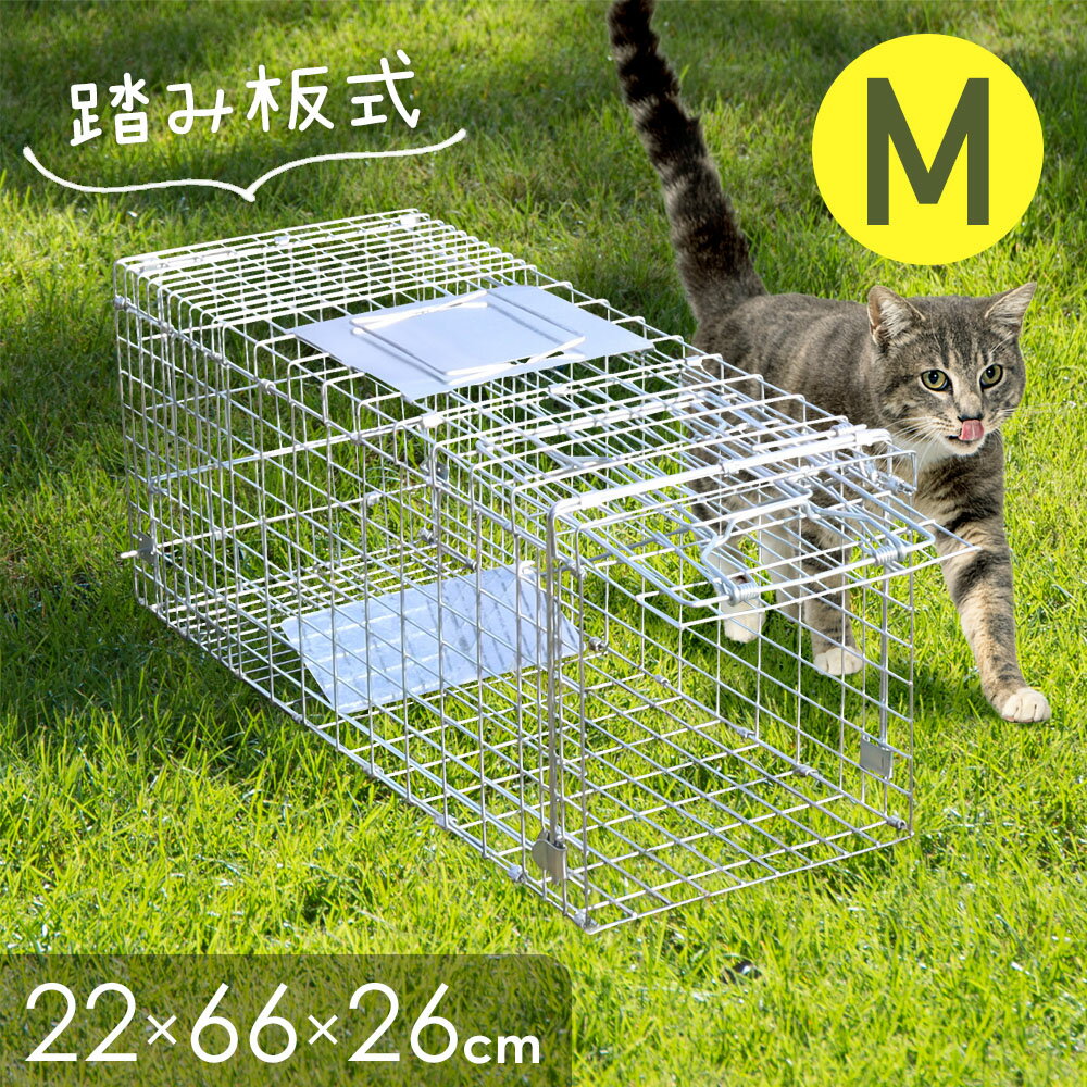 【全品★半額★チャンス】29日0時〜 【訳あり】 捕獲器 猫 捕獲機 踏板式 動物用 イタチ ハクビシン 動物..
