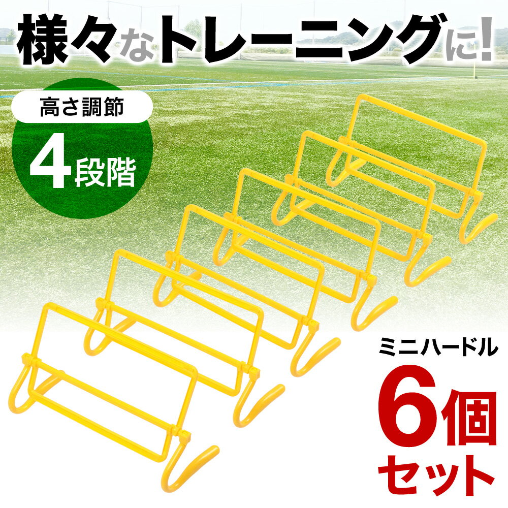 �ߥ˥ϡ��ɥ� �ϡ��ɥ� 6�� 12�� ���å� �ȥ졼�˥� �ϡ��ɥ� �ߥ� ���եȥ��å� ���å��� ȿ�������� ���ݡ��� �եåȥ��� Φ�� ��� �Х����åȥܡ�...