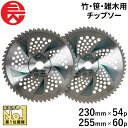 ≪10%OFF★楽天スーパーSALE対象≫ セフティー3 竹・笹・雑木用チップソー 255mmX60p 藤原産業 刈払機用 チップソー 軽量 園芸機器 園芸用品 替え刃