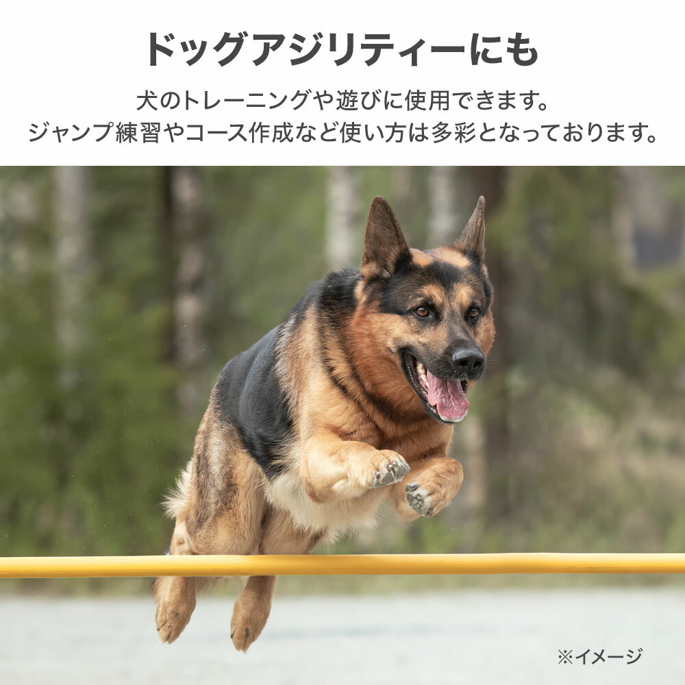 ������ƥ� �� �ϡ��ɥ� ������ ���å��� �ɥå�������ƥ� �⤵Ĵ�� 3�ʳ� �ɥå���� �ȥ졼�˥� �����ץС� ��������� ���ѥ����� ���� ���� �㳲ʪ���� ���Ĥ� ���� ��ư��� ���� ͷ�� �ɥ�֥� �ѥ� �ɥ�֥� ���� ���� �եåȥ��� ���ݡ���