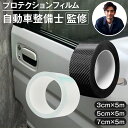 【楽天1位】 プロテクションフィル