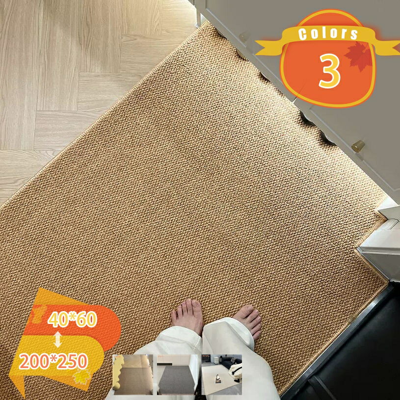 乐天商城 - 500円OFFクーポン 玄関マット カ一ペット ラグマット 洗える おしゃれ インテリア 抗菌 防音 防ダニ 掃除易い 北欧 長方形 和モダン 滑り止め fascimo