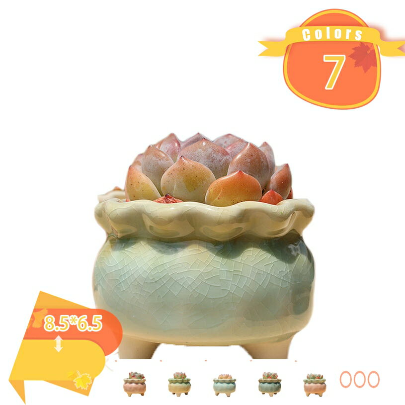 Glass Bowls - 植木鉢 おしゃれ INS風おしゃれツートンカラーの陶器鉢 S 14cm 観葉植物 鉢 観葉植物の鉢 4号 陶器 植木鉢 おしゃれ 鉢植え 植え替え おしゃれな植木鉢 土 ガーデニング 室内 小さい 小さめ ミニ ミニ鉢 白 fascimo