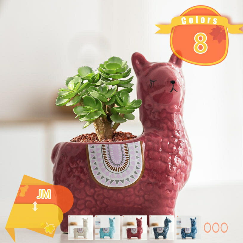 Rakuten - 植木鉢 陶器鉢 プランター 5号 受け皿付き 穴付き 白 おしゃれ 鉢 鉢植え インテリア 屋内 屋外 8号鉢 陶器鉢 鉢の底に排水穴付き おしゃれ 鉢植え インテリア 部屋 オフィス 室内 飾り 観葉植物 プレゼント用プラント fascimo