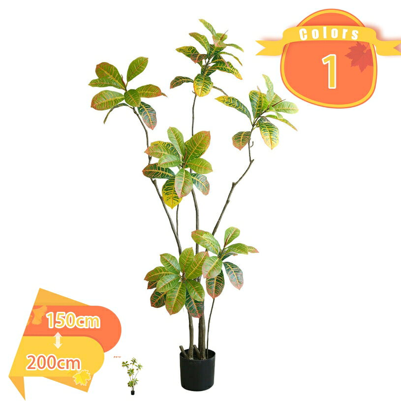1000円OFFクーポン 観葉植物 金のなる木 防臭 抗菌 水やり不要 大型 人工観葉植物 贈り物 オフィス 店舗 事務所 インテリア シンプル モダン 和風 開店祝い 開業祝い 新築祝い 引越し祝い フェイクグリーン 幸福の木 鉢植え 玄関 室内 屋外 トイレ fascimo