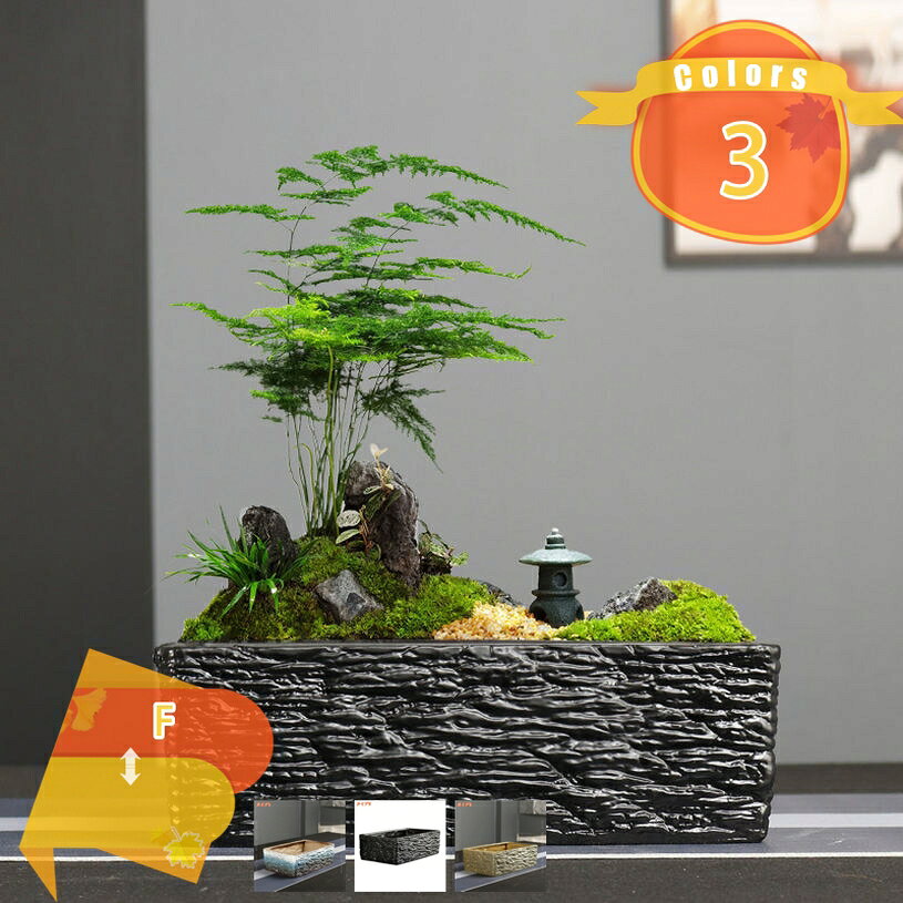 メイン素材：セラミック「注意事項：植物が含まれておりません。」【商品名】プランター【素材】セラミック・陶器【サイズ】●タイプ1＝長（25cm）幅（16cm）高（8cm） ●タイプ2＝長（25cm）幅（16cm）高（8cm） ●タイプ3＝長（25cm）幅（16cm）高（8cm）非常に繊細な陶磁器の土を選んで、職人達が心を込めて作ったので、現代の技術を使用して焼成されます 。普通の陶器 植木鉢より耐久性がいいです、とても目を楽しませてくれます。鉢底に穴が開いているので大切な植物の根腐れを防ぎます。底面が平らなのでテーブルの上に置いても倒れにくいです。ガジュマル、サンスベリア、パキラなどの観葉植物、サボテン、ハオルチアなどの多肉植物の鉢植えとして、またフェイクグリーン、インテリアグリーンなどにも使用できます。リビング、キッチン、窓先、オフィス、インベントやパーティーの会場にも飾り物として置けば、落ち着いた雰囲気を演出します。【商品名】 ：プランター 【素材】：セラミック 【特徴】：穴有り 【サイズ】 ●タイプ1＝長（25cm）幅（16cm）高（8cm） ●タイプ2＝長（25cm）幅（16cm）高（8cm） ●タイプ3＝長（25cm）幅（16cm）高（8cm） ※注意事項：植物が含まれておりません。 ●上質なセラミックを採用して高温の環境で仕上げられて、可愛くて丈夫です。 ●陶器の鉢は光沢があるので、遠目からも存在感を発揮してくれます。 ●底面が平らなのでテーブルの上に置いても倒れにくいです ●底穴があり、排水に便利です。通気性がよく、根茎の呼吸が楽になり、植物の健康を保ちます。 ●庭の装飾、リビング、ダイニング 、花壇、芝生のデコレーション、階段の装飾品、庭アート飾り...その他家の多くの場所として使用するのに適しています。 ■ キーワード： 装飾プランター 鉢 サボテン鉢 セラミック 草花 寄せ植え 観葉植物鉢 大型植木鉢 屋内植木鉢 植木鉢 室内用プランター 観葉植物植木鉢 多肉植物用植木鉢 多肉植物容器 多肉植物ポット 多肉容器 鉢植え 野菜栽培 プランター フラワーポット スタイリッシュ 容量たっぷり サボテンポット 陶器 ガーデンポット プラントポット 植物用プラントポット 園芸用品 園芸鉢 ハーブ鉢 花鉢 インテリア鉢 大きい 庭木鉢 ガーデン用品 室内屋外用 ガーデニング用品 アンティーク プランター用受皿 フラワーバスケット 北欧 鉢カバー 鉢植えカバー プランターカバー 樹脂プランター 樹脂プランター プラ鉢 陶器鉢 おしゃれな植木鉢 背の高い植木鉢 通気性がよいご案内している情報は参考用です。実際にお届けする商品をご確認くだ大型プランター 大型植木鉢 排水できる 排水できる鉢受台 植木鉢です 植木鉢カバー 植木鉢プラスチック 植物カバー 深型 白 花盆 鉢カゴ 鉢ランキング 鉢受台 鉢植え 陶器植木鉢おしゃれガラス鉢 スタンド テラコッタ ハイドロカルチャー バラ鉢 プランターカバー プランター大型 プラ鉢 ポット 万年青 人気のおしゃれな 人気のおしゃれな観葉植物用の 受け皿 大きい鉢 陶器 大型 おしゃれ 茶 黒 8号 7号 5号 6号 10号 プラスチック 深型 セメント 白 四角 ホワイト 室内 セット 窓 小型 北欧風 12号 浅型 浅い 排水 12cm オシャレ 室内用小さい 素焼き鉢 紫陽花用の鉢 観葉植物の鉢 観葉植物鉢 軽い鉢 鉢・プランター 長方形 black plastic stone グレー 植木 花鉢 オシャレ 陶器 大型 吊り 室内 棚 金魚鉢 ガーデン用品 収納