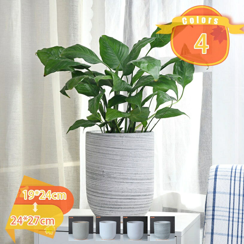 メイン素材：セラミック「注意事項：植物が含まれておりません。」【商品名】プランター【素材】セラミック・陶器【サイズ】●S=口径（19cm）高（24cm） ●M=口径（24cm）高（27cm）上質なセラミックを採用して高温の環境で仕上げられて、可愛くて丈夫です。陶器の鉢は光沢があるので、遠目からも存在感を発揮してくれます。鉢底に穴が開いているので大切な植物の根腐れを防ぎます。底面が平らなのでテーブルの上に置いても倒れにくいです。多肉植物、サボテン、ガジュマル、パキラ、紫陽花、ハーブなどの植物にはぴったりです。お気に入りの植物を育てるためのミニポットとしても活用できます。オシャレな多肉ポットでインテリアを素敵に。個性的でひと味違うガーデニンググッズをお探しの人に。ベランダやリビング、寝室、棚、オフィスなどインテリア合わせやすいものにんきの秘訣。【商品名】 ：プランター 【素材】：セラミック・陶器 【特徴】：穴あり 【サイズ】 ●S=口径（19cm）高（24cm） ●M=口径（24cm）高（27cm） ※注意事項：植物が含まれておりません。 ●上質なセラミックを採用して高温の環境で仕上げられて、可愛くて丈夫です。 ●陶器の鉢は光沢があるので、遠目からも存在感を発揮してくれます。アンティーク風の鉢はどこに置いても素敵です。 ●底面が平らなのでテーブルの上に置いても倒れにくいです ●底穴があり、排水に便利です。通気性がよく、根茎の呼吸が楽になり、植物の健康を保ちます。 ●多肉植物、ガジュマル、ポトス、バラ、サボテン、蘭、紫陽花、万年青、ハーブなどの植物にはぴったりです。お好きな小型植物に美しくて暖かい家を作りましょうか ■ キーワード： 装飾プランター 鉢 サボテン鉢 セラミック 草花 寄せ植え 観葉植物鉢 大型植木鉢 屋内植木鉢 植木鉢 室内用プランター 観葉植物植木鉢 多肉植物用植木鉢 多肉植物容器 多肉植物ポット 多肉容器 鉢植え 野菜栽培 プランター フラワーポット スタイリッシュ 容量たっぷり サボテンポット 陶器 ガーデンポット プラントポット 植物用プラントポット 園芸用品 園芸鉢 ハーブ鉢 花鉢 インテリア鉢 大きい 庭木鉢 ガーデン用品 室内屋外用 ガーデニング用品 アンティーク プランター用受皿 フラワーバスケット 北欧 鉢カバー 鉢植えカバー プランターカバー 樹脂プランター 樹脂プランター プラ鉢 陶器鉢 おしゃれな植木鉢 背の高い植木鉢 通気性がよいご案内している情報は参考用です。実際にお届けする商品をご確認くだ鉢植え 屋外用 果樹鉢 植木鉢台 植物 40号 plant pots ミニ 台 吊るす 鉢皿 陶器鉢 3号 アガベ バラ鉢 プラスチック鉢 底面給水鉢 御洒落 睡蓮鉢 素焼き鉢 7号鉢 インテリア サボテン植木鉢 鉢 プランター 観葉植物 スリット鉢 大型 おしゃれ 受け皿 受け皿付き 鉢カバー 7号 陶器 プラスチック 10号 プラ鉢 プラスチック鉢 軽量 5号 8号 バラ鉢 植物 深型 鉢植え鉢 グレー 陶器 長方形 おしゃれ 大型 四角 9cm 8号 大きい プラスチック 穴なし 6号 茶色 セメント スクエア 10号 小さい 広い 排水できる 観葉 21型 室内用植木鉢 多肉植物鉢植え おしゃれ 屋外 大型 大きめ 10号 セット プレゼント 長持ち 夏 ギフト バラ 肥料 父の日 お祝い マーガレット 外 観葉植物 誕生日 プランター 長方形 野菜 深型 台 棚 石