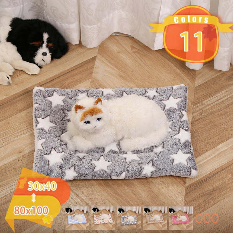 �ڥå� �ڥåȥ٥å� �ڥå����� �ڥå����� �ڥåȥޥå� ������ ǭ���� �� �ޥå� ���� ������ �դ�դ� �ͥ��٥å� �ͤ� �� ���ä��� ������� �İ���...