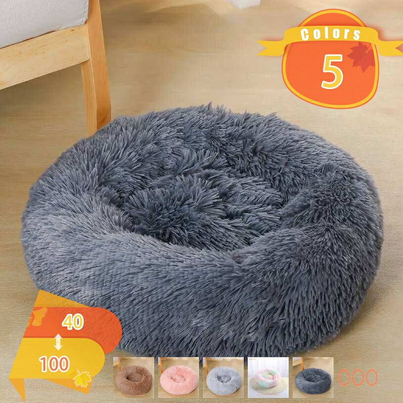 �ڥå��ѥ٥å� ���å���� �ڥå� ���� �� �ۥ磻�� �⤳�⤳�� ǭ �ޥå��緿�� ������ ǭ �٥å� ���٥å� �դ�դ� �饦��ɷ� �ڥåȥ��å���� ��ǯ...