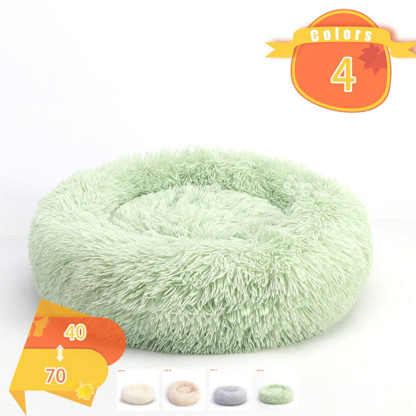 ǭ �� �٥å� �ڥåȥ٥å� ���å���� �ݷ� ���ѥ٥å� ������ �դ�դ� �⤳�⤳ �İ��� �ɡ��ʥķ� ǭ���å���� ���դ� ���ߤ� ������ �Ȥ��� �ɴ�...