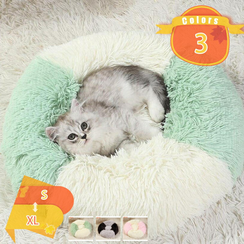 �ڥåȥ٥å� ǭ �٥å� ���٥å� ���å���� �դ�դ� ǭ�ϥ��� �饦��ɷ� �ݲ��ɴ� �⤳�⤳ �Ȥ��� ���ߤ� �������ѥ٥å� �͵����� ���������к� ��...