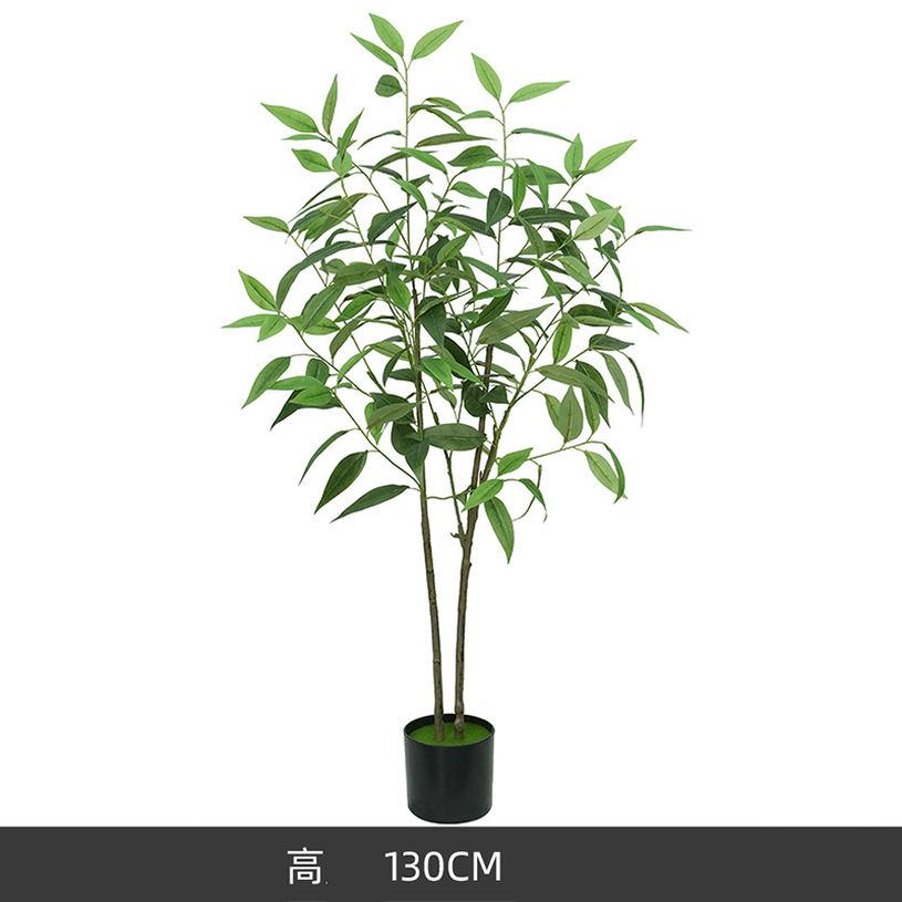 �ե��������꡼�� �緿 ������� �͹����տ�ʪ ¤�� �������� ���������ñ ���� ��ӥ� ���� �ʥ����� ��Ź�ˤ� �ꥢ�� ����ƥꥢ ���� ���ˤ� �ۥƥ� �롼�� �٥󥸥�ߥ� ���м� �͹����� ȭ���� �ץ쥼��� ���ե� fascimo