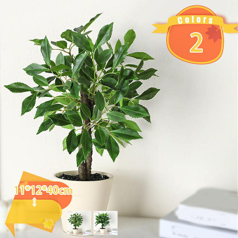 1000円OFFクーポン 小型 観葉植物 フェイクグリーン インテリア 人工観葉植物 枯れない 造花 パキラ 多幸の木 テーブル 卓上飾り 屋内 オフィス 鉢植え 植木 おしゃれ装飾 デコレーション 本物そっくり 消臭・抗菌効果 人工植物 ギフト プレゼント 贈り物 fascimo