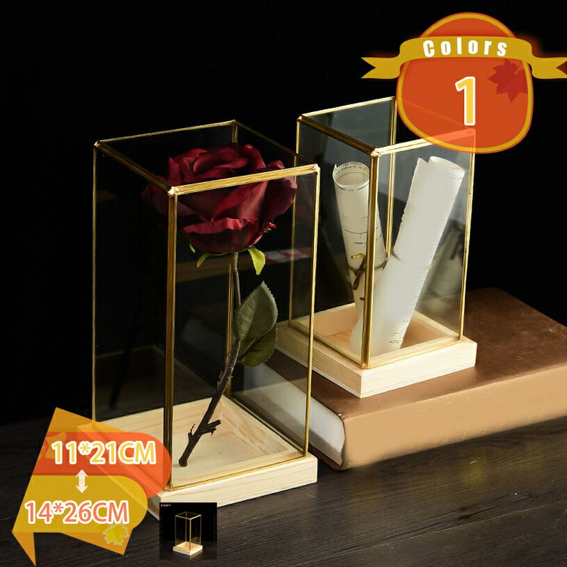 500円OFFクーポン 立体展示ケース フィギュアケース ガラスドーム 大きい 透明 フ...
