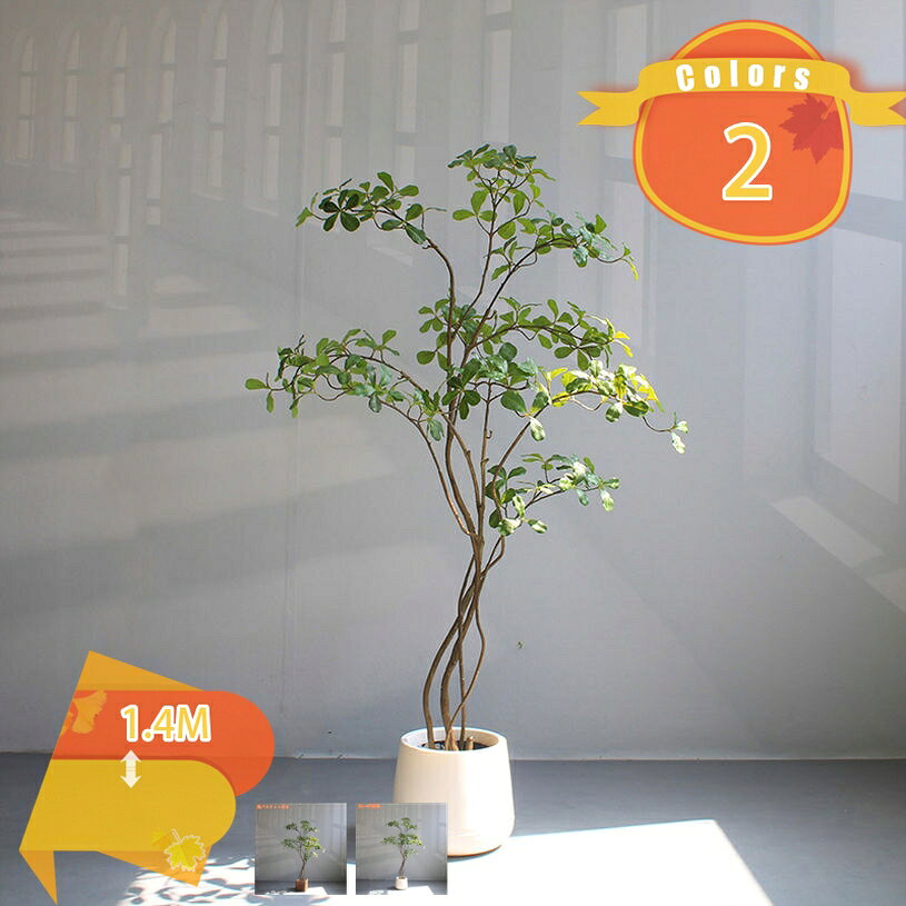 商品画像2