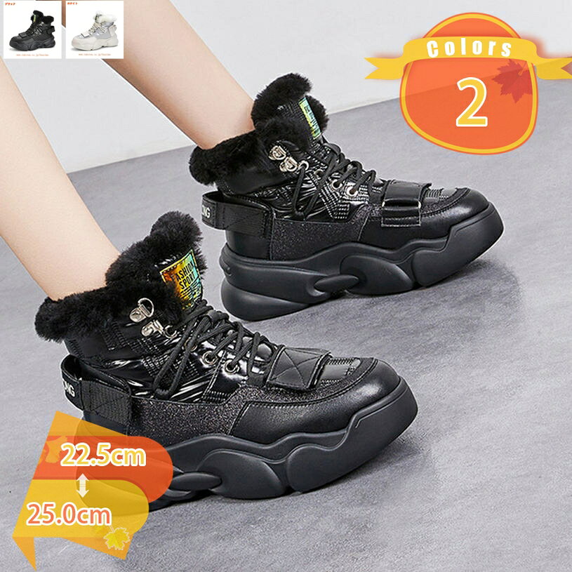 777OFFݥ Ρ塼 ǥ ࡼȥ֡ ɿ  硼ȥ֡ ΢ܥ ɴ ֡ ΢ӥ֡ Ȥ ߥ֡ եå ...