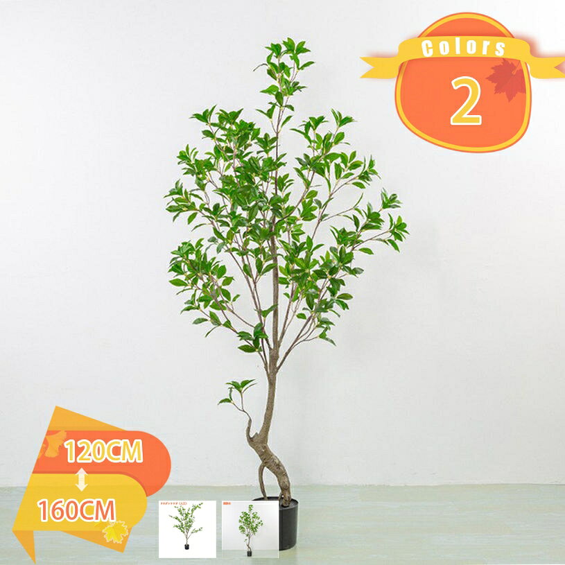 メイン素材：プラスチック、鉄【1、】黒い鉢のみ、写真の植木鉢は別途購入する必要があります。お部屋のコーディネイトに癒しを加えてみませんか。植物は、主役ではないけどお部屋の彩りを豊かにしてくれ、心地よい空間を演出する重要なお仕事をしていてくれます。（枝の形状は手で曲げることでその角度で固定され、美しく見えるお好みのポーズを作って頂けます。）【2、】本物を模倣しているデザイン。この人工植物の枝は、自然な曲線や微妙な傾きを持っており、 その形状は本物の植物を模倣しています。 遠くから見たら本物と見間違う程のリアル感があります！簡単な手入れ。この人工植物は本物の植物と異なり、日常的な世話や水やりが不要です。そのため、室内やオフィスの装飾として、手入れの必要がない利便性を提供します。【4、】黒い鉢が提供されて、輸送中にわずかに破損しますが、使用には影響ありません。【5、】プレゼント用。この人工植物は、室内装飾やエントランス、リビングルーム、オフィス、ホテルなどさまざまな場所で使用できます。自然な雰囲気を演出し、空間に豊かな緑をもたらします。ご自宅用はもちろん、大切な方へのお誕生日プレゼント、開店祝い、新築祝い、引越し祝いにもピッタリです。【3、】様々な適用シーン。 大きなグリーンを置くことにより、その存在感から格調高い雰囲気の印象に変える効果が期待できます。シンプルなデザインで、どこに置いても相性が良く、置く場所に緑を増やし、生活の疲れから抜き出す。ご自宅用はもちろん、オフィス、図書館、ショップ、バルコニー、または配置したい場所に最適です。大切な方へのお誕生日プレゼント、開店祝い、新築祝い、引越し祝いにも最適です。注意点： 1：葉を枝に差し込んで組み立ててください。 2：高さはパッケージの高さではなく、商品全体の高さを指します。 3：枝葉を畳んでお届けするため、枝葉の広げ方によってデザインやサイズが異なってきます。 4：直射日光は、花の色落ちや色落ちがありますので、なるべく室内の直射日光の当たらないところに置いてください。 5：お手入れは葉に溜まった埃などを定期的に拭き取るだけでございます。水やりは不要です。枯れることがないので、手間いらずで、ずっとキレイなままご使用頂けます。 本物のような精巧なつくりの人工観葉植物です。生花とは違い枯れないので、優美な姿が変わることなくあなたを魅了し続けます。 人工観葉植物はどんなシーンにもぴったりマッチして、美しい風景になります。それは広く客間、寝室、ベランダ、事務室、ホテルなどに応用して、お客様の住所のために活力を加えます。 人工観葉植物なので虫もつかず、枯れることなどもないのでお部屋などが汚れる心配もございません。ホコリがついたら湿布で拭くだけいいです。 【簡単な手入れ】 フェイクグリーンなので、お手入れ簡単です。葉が汚れた場合、ハタキで軽く拭き落としてください。水やりや虫害への心配などもいりません、植物でお部屋を飾りたいのに世話する時間がない方におすすめです。 【様々な適用シーン】 シンプルなデザインで、どこに置いても相性が良く、置く場所に緑を増やし、生活の疲れから抜き出す。ご自宅用はもちろん、大切な方へのお誕生日プレゼント、開店祝い、新築祝い、引越し祝いにも最適です。 【立体防振梱包】 商品は厳重な防振包装を採用して、お花がささった状態で丁寧に包装し、花瓶と花束をきちんと保っています、お花の元々の形も保てるので、届いたらお花の再調整はほとんど要りません。 壁掛け 人工観葉植物 造花 フェイクグリーン イミテーション チェリーピンク フラワーアレンジメント お祝い リビング お部屋 インテリア飾り デコレーション 枯れない花 藤 インテリア 壁掛け 癒し 造花 枯れない花 ご案内している情報は参考用です。実際にお届けする商品をご確認くだ枯れない リビング 大きい 人工 大型 おしゃれ インテリア 植物 グリーン 人工観葉植物 人工植物 鉢付オフィス 開店祝い お手入れ簡単 水やり不要常緑樹 ナチュラル 人工観葉樹 人工観葉植物 フェイクグリーン 造花 人工植物 観葉樹 インテリアグリーン おしゃれ オフィス 室内 装飾 観葉植物リビング インテリア 室内 木 大型観葉植物 人工植物 人工植物 人工観葉植物 インテリア 観葉植物 人工植物 イミテーショングリーン 大型 造花緑のある暮らし 引っ越し祝い 新築祝い お手入れ簡単 水やり不要 常緑樹 ナチュラル 人工植物 人工観葉植物 人工植物 フェイクグリーン 大きいフェイクグリーン 大型 人工観葉樹 フェイク観葉植物 造花 シンプル 大型 鉢付き おしゃれ 世話いらず 水やり不要 オフィス 室内 インテリア ホームデコレーション 鉢植え 引越し祝い 新築祝い 人工観覧植物 フェイクグリーン 大型 人工観葉植物 観葉植物 リアル 玄関 インテリア エントランス