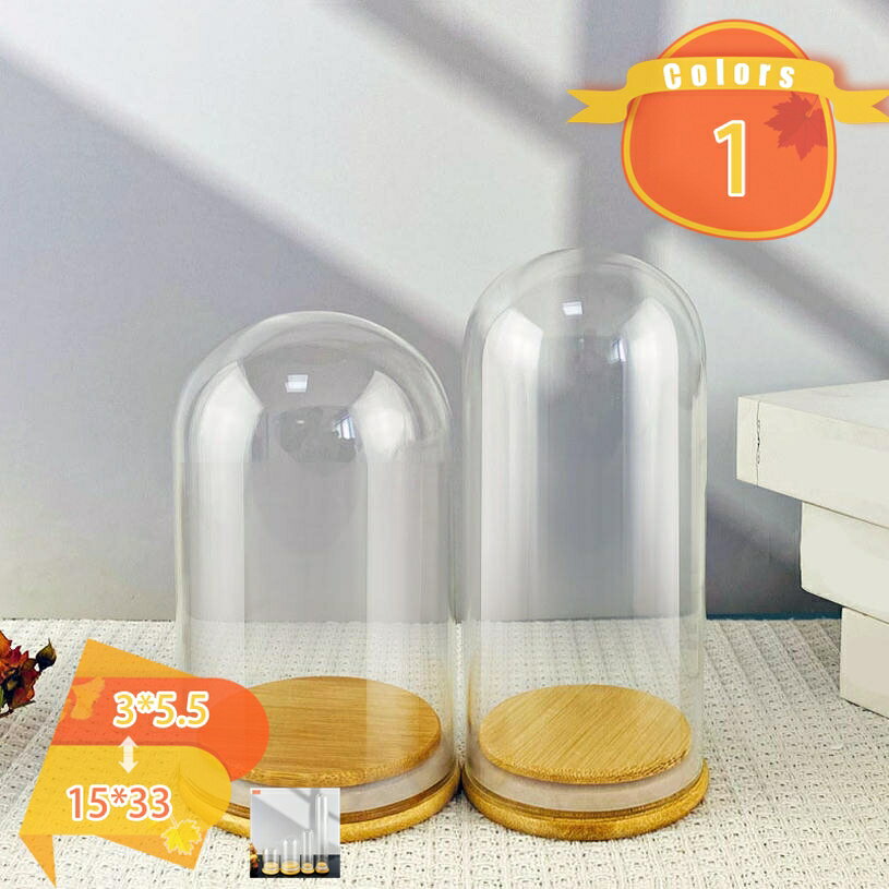 300円OFFクーポン ガラスドーム 小さい 円柱 ドーム型 軽量 プリザーブドフラワー DIY ミニチュア景観 ..
