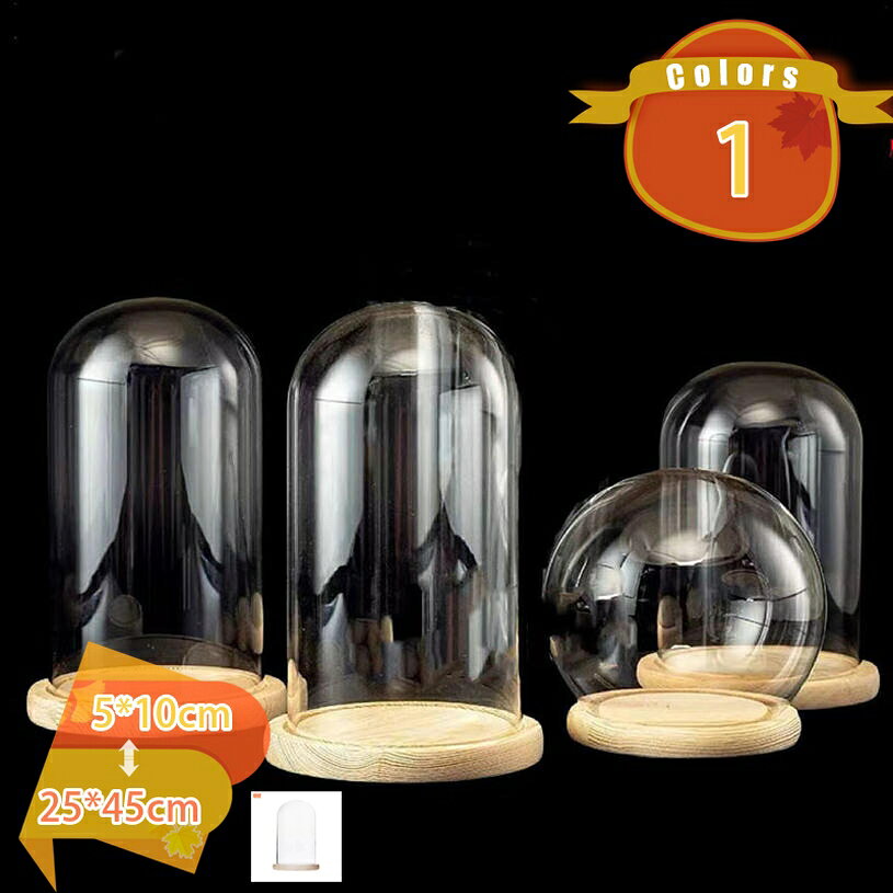 500円OFFクーポン ガラスドーム 小さい 円柱 展示用 保護用 シンプル 卓上展示 小物 植物 フィギア ショーケース 透明ガラスカバー ディスプレイ 手作り 模型ケーキ ジュエリー収納 フィギュア fascimo