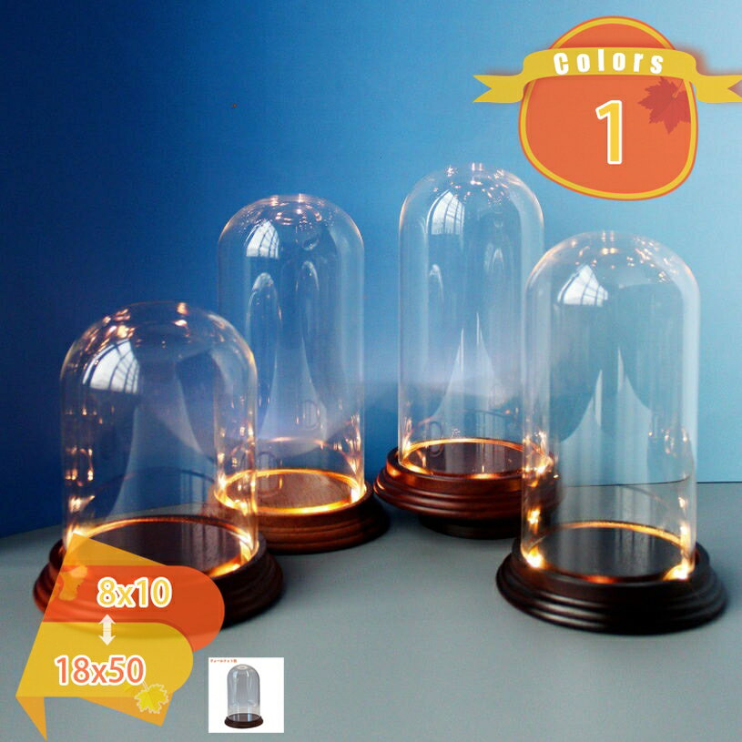 300円OFFクーポン ガラスドーム 円柱 コレクターアイテム用 分かりやすい ガラスカバー 透明ドーム プ..