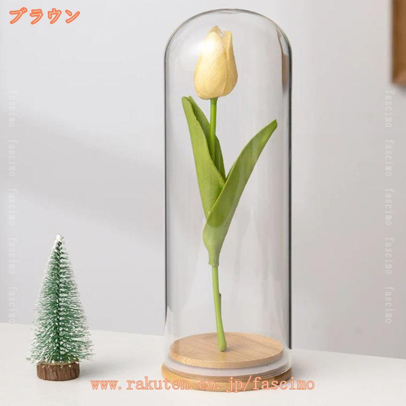 300円OFFクーポン ガラスドーム 透明ドーム 卓上展示 防塵 工芸品 ジュエリー 置物...