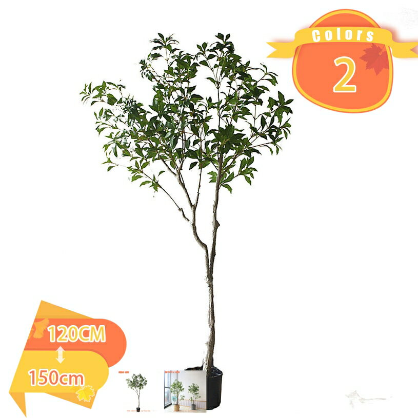 人工観葉植物 目隠し フェイクグリーン 大型 人工植物 インテリア 人工観葉植物 フェイク葉 リビング フェイクグリーン 人工観葉植物 フェイクグリーン お祝い プレゼント ギフト 引越し祝い 新築祝い 観葉植物 人工観葉植物 fascimo