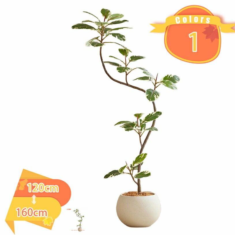 2000円OFFクーポンフェイクグ...