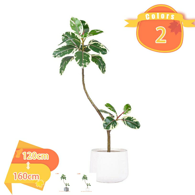 2000円OFFクーポン 人工植物 人工観葉植物 インテリアグリーン 観葉植物 人工植物 大型 フェイクグリーン 人工観葉植物 大きい オフィス 屋内 住空間 オフィス 店舗用 業務用 環境改善 鉢植え 引越し祝い 新築祝い 本物そっくり 人工観葉植物 fascimo