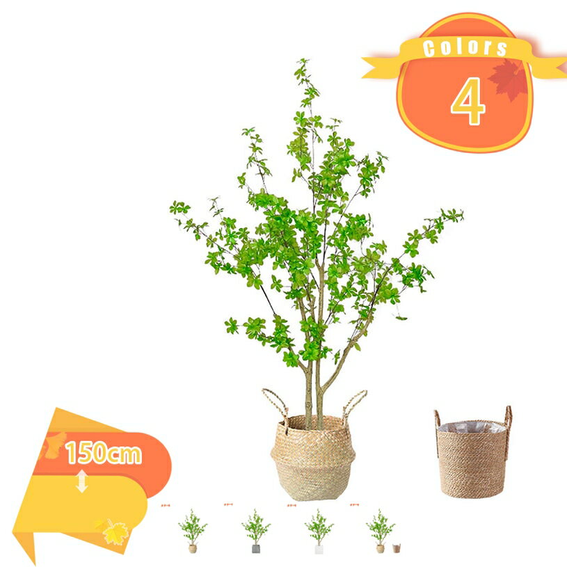 乐天商城 - 2000円OFFクーポン フェイクグリーン 人工観葉植物 フェイク グリーン 人工観葉植物 人工植物 インテリア リビング 玄関 開店 かわいい キッチン リビング ダイニング 寝室 ギフト 贈り物 インテリア飾り 常緑樹 鉢植え 本物そっくり 人工観葉植物 fascimo
