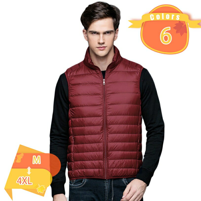 300円OFFクーポン ベスト メンズ ダウンベスト ライトダウン スタンドカラー 軽量ベスト 無地 ショート丈 アウター ダウンジャケット ゆったり 秋冬 防寒 あったか 暖かい ダウンベスト 軽量ダウン 暖かい あったか アウター fascimo