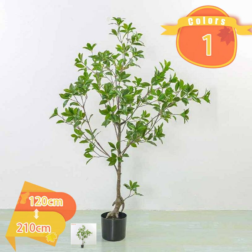 フェイクグリーン 風水 簡単世話いらず 水やり不要 ギフト プレゼント 人工観葉植物 観葉樹 造花 人工 室内 抗菌 消臭 アセビ 馬酔木 多幸の木 屋内 オフィス 鉢植え 植木 リビング 玄関 葉 葉っぱ インテリアグリーン お洒落 シンプル fascimo