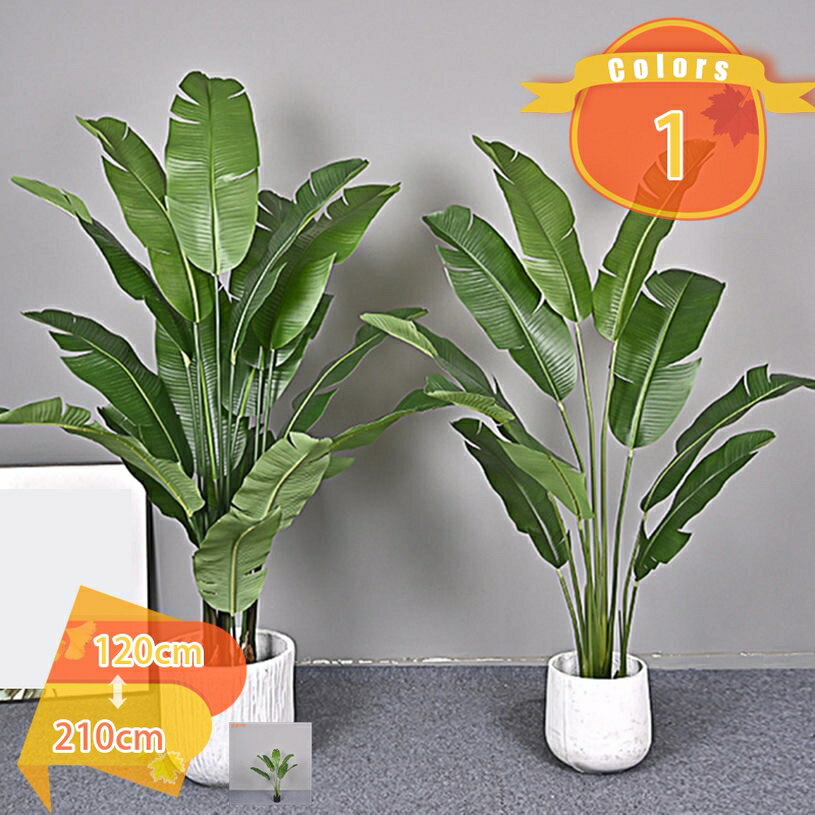 Rakuten - フェイクグリーン 観葉植物 フェイク 鉢植え 人工観葉植物 大型 ストレリチア・レギネ 水やり不要 簡単世話 おしゃれ リビング 大きい 本物そっくり リアル 造花 観覧植物 常緑樹 インテリア 玄関 会議室 オフィス お祝い 開店祝い 開業祝い fascimo