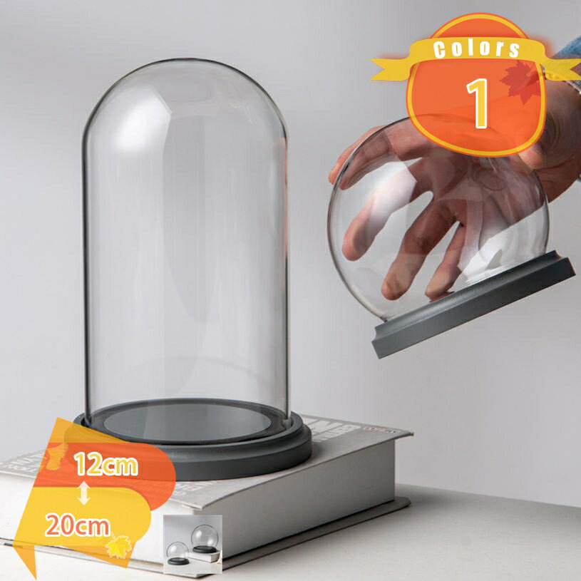 500円OFFクーポン ガラスドーム 円柱 卓上飾り 透明度の高い 軽量 コレクションケース デスクトップ装..
