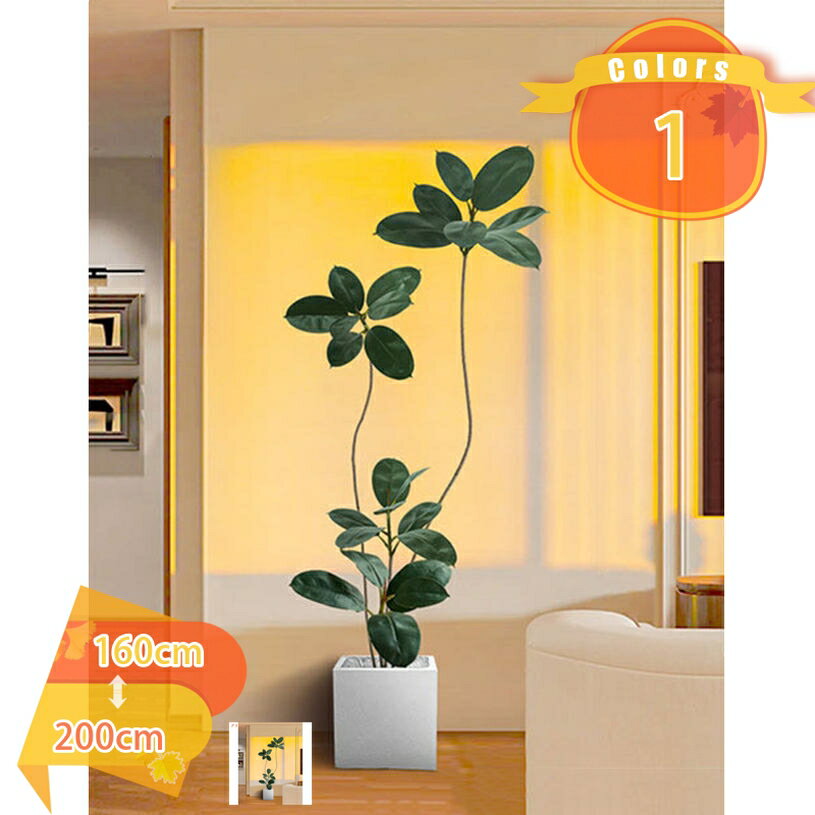 2000円OFFクーポン 人工 観葉植物 フ�