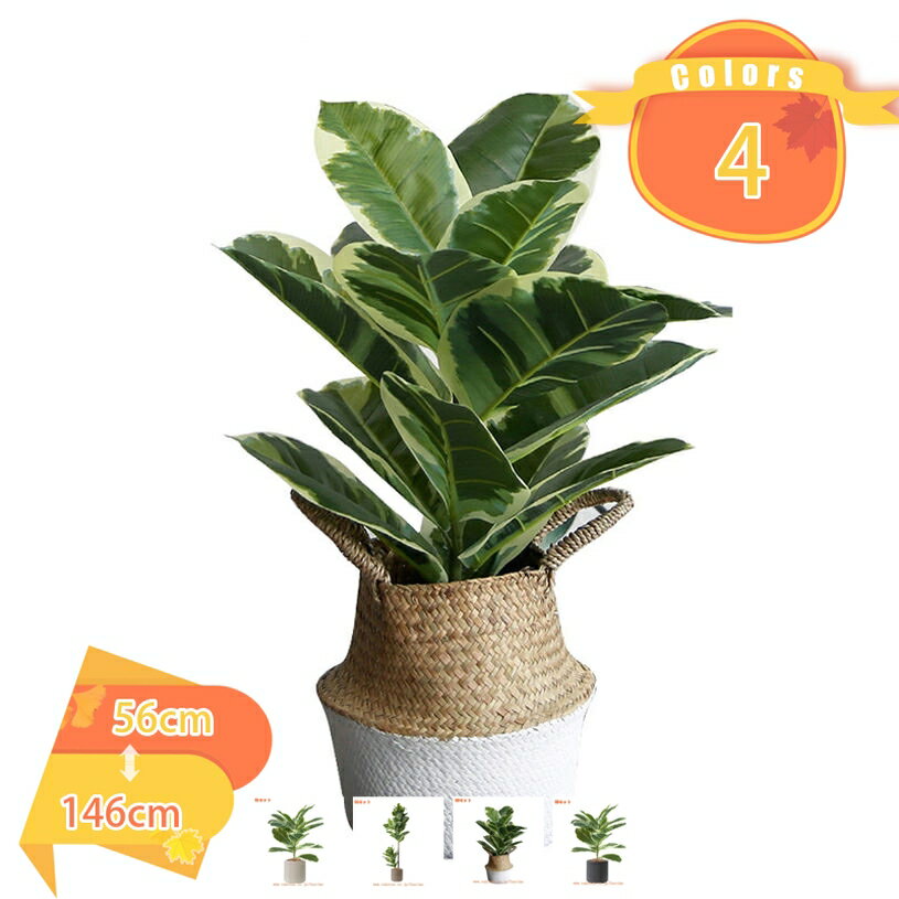 Leafy Plants - 人工観葉植物 鉢植え 人工植物 インテリア 観葉植物 鉢植えの植物 世話いらず 水やり不要 フェイクグリーン 鉢付き オフィス ホーム デコレーション シンプル 室内 おしゃれ お祝い 父の日 観覧植物 本物そっくり 人工観葉樹 fascimo