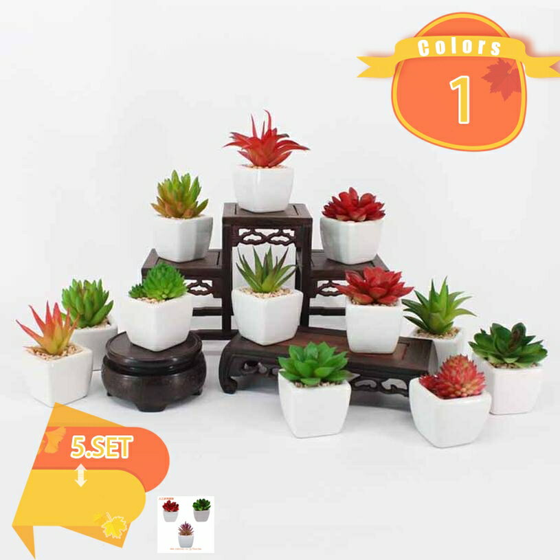 5個セット 人工多肉植物 ミニ鉢植え ポット付き シミュレーション植物 フェイクグリーン ミニ鉢植え モダン デスクトップオーナメント 卓上飾り インテリア装飾 バレンタインデー ミニ盆栽 お世話不要 ギフト プレゼント 贈り ミニ観葉植物 人工観葉植物 ミニ多肉植物